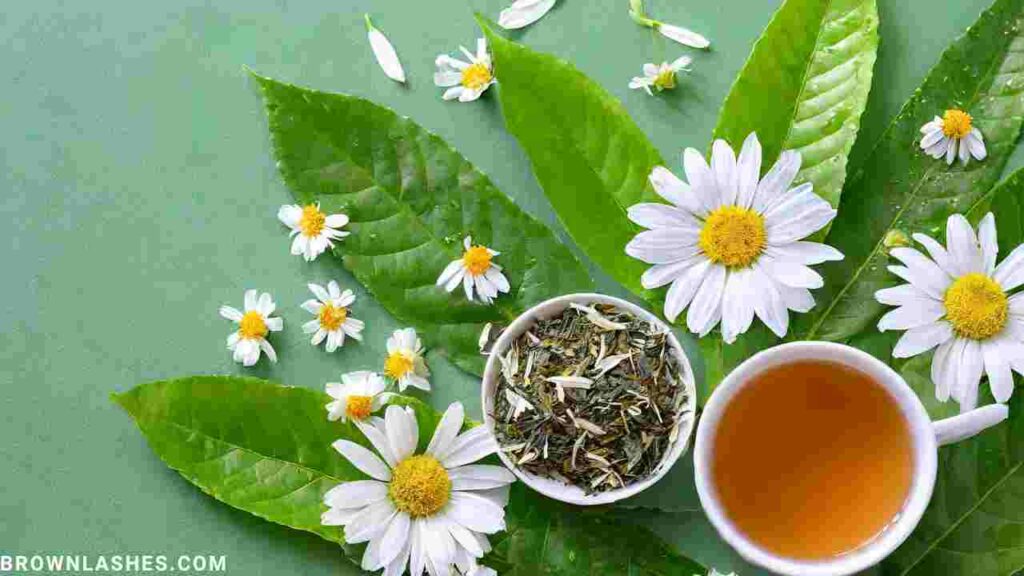 Image of green tea leaves and chamomile flowers, indicating natural remedies for hydrating and soothing eyelashes